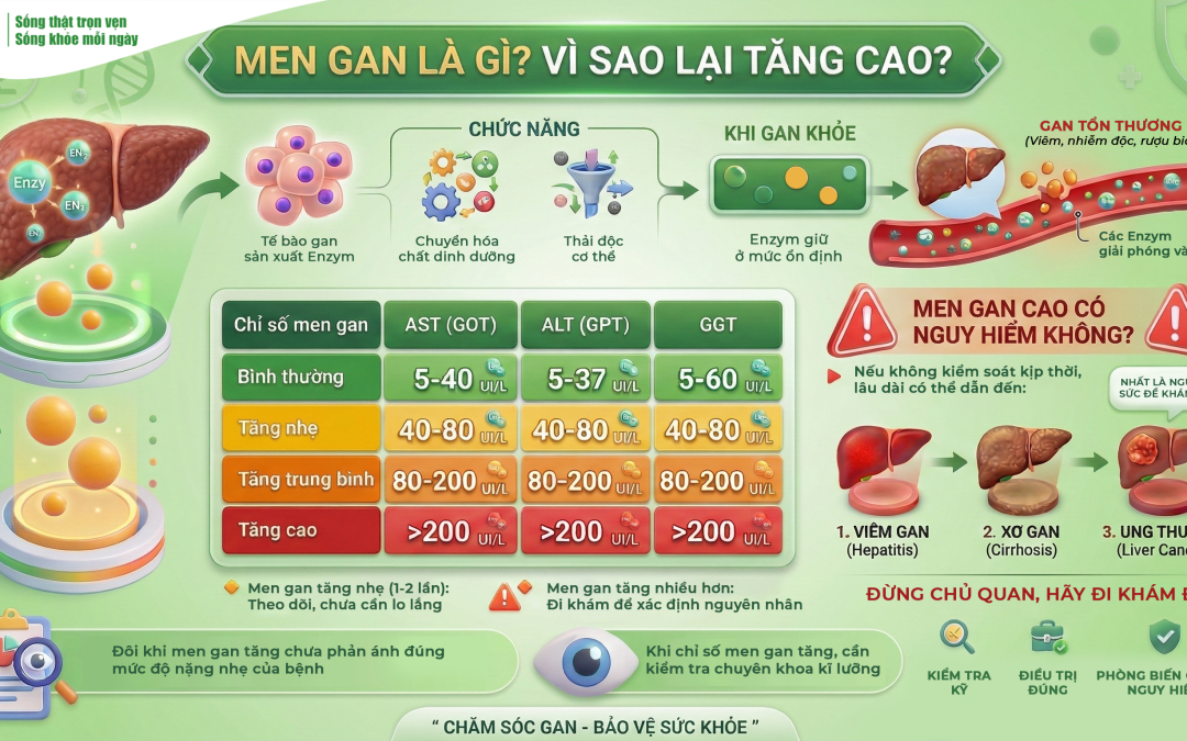 Men gan là gì? Vì sao lại tăng cao?